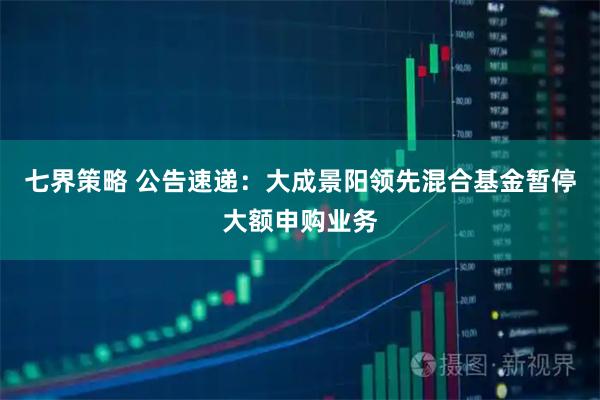 七界策略 公告速递：大成景阳领先混合基金暂停大额申购业务