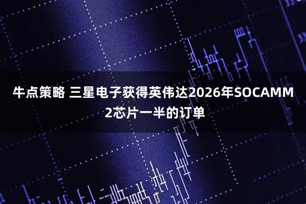 牛点策略 三星电子获得英伟达2026年SOCAMM 2芯片一半的订单