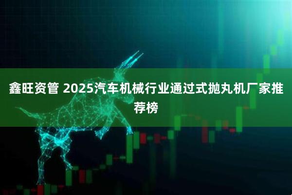 鑫旺资管 2025汽车机械行业通过式抛丸机厂家推荐榜